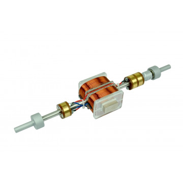 Zweipolrotor, für elektrische Maschinen, Rotorspule, Doppel-T-Anker