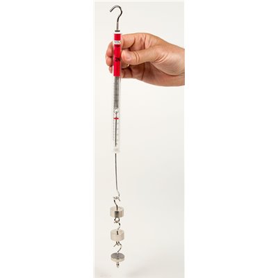 Hakengewicht 50 g, blank