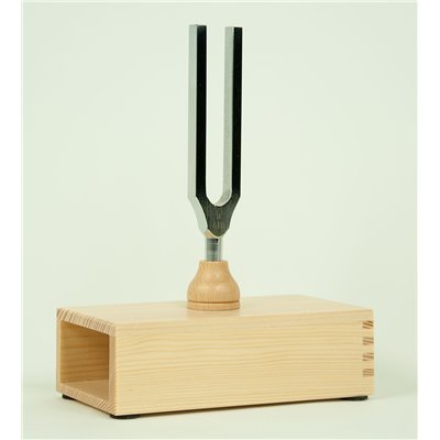 Stimmgabel 440 Hz auf Resonanzkasten